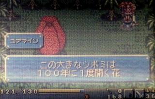 巨大花のツボミ