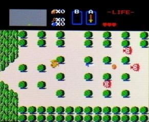広大なフィールド