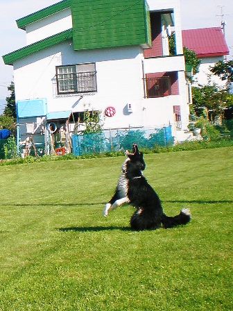 20110828_P8280213.jpg