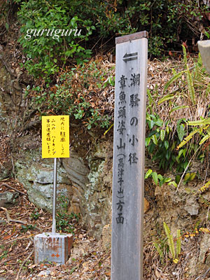 13wakaura19.jpg