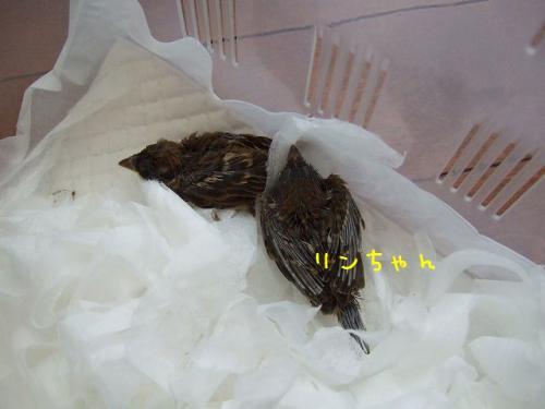 20130617_1.jpg