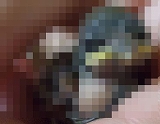 s-20130614_4_mos.jpg