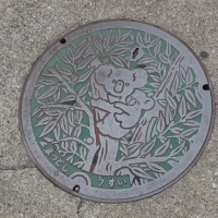DSCF0552.jpg