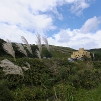 DSCF0719.jpg