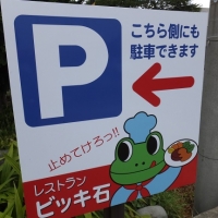 DSCF0731.jpg