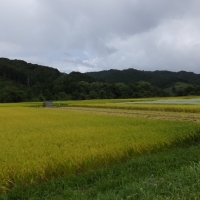 DSCF0732.jpg