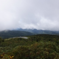 DSCF0775.jpg