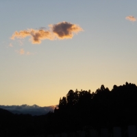 DSCF0804.jpg