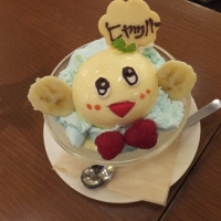 DSCF0853.jpg
