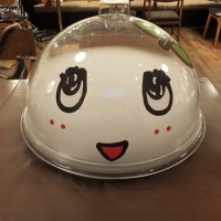 DSCF0856.jpg