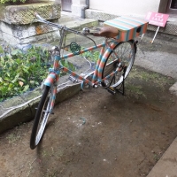 DSCF1173.jpg