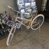 DSCF1174.jpg