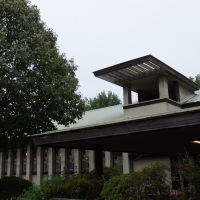 DSCF1185.jpg