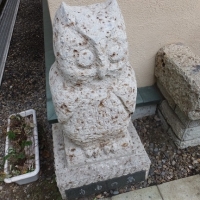 DSCF1188.jpg
