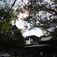 DSCF1235.jpg