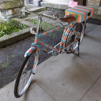 DSCF1237.jpg