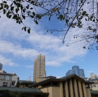 DSCF1257.jpg