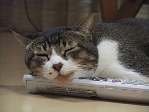 DSCF4422.jpg