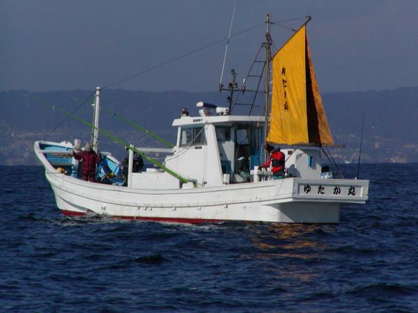24.4.8yutakamaru