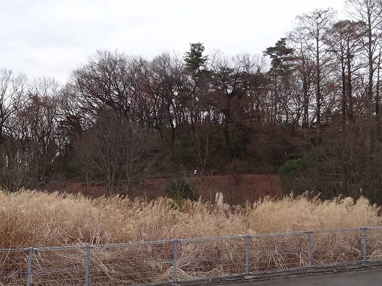 008-s_20131223215030cd9.jpg