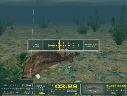 sportfishing.jpg