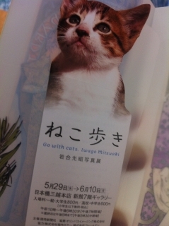 ぬこちけ