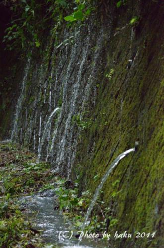 DSC_1618_0131.jpg