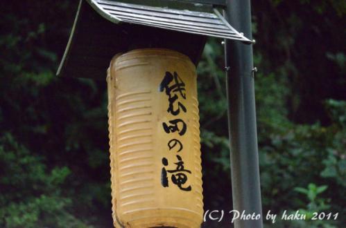 DSC_1620_0130.jpg