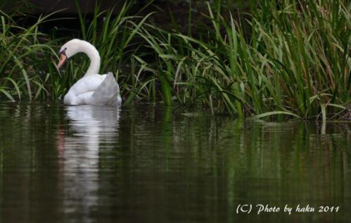 DSC_2023_0157.jpg