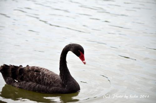 DSC_2052_0160.jpg