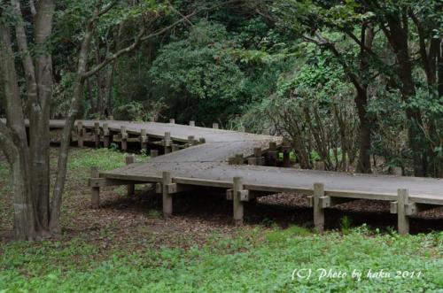 DSC_2136_0164.jpg