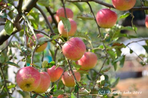 DSC_2899_0227.jpg