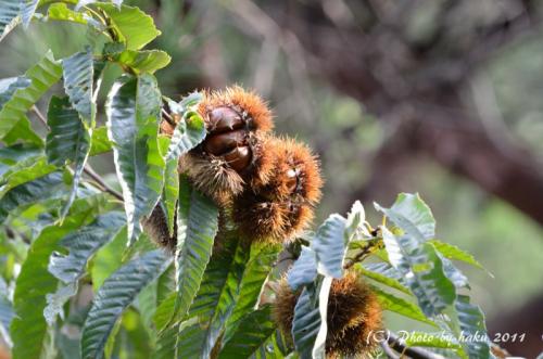DSC_3026_0244.jpg