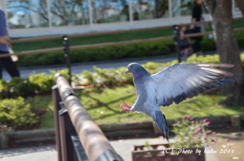 DSC_3182_0240.jpg