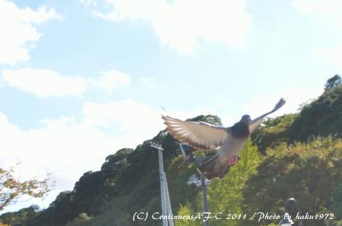 DSC_3204_0335.jpg