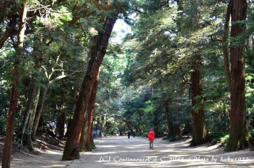 DSC_5591_0315.jpg