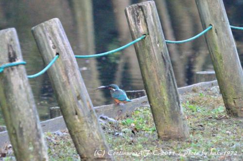 DSC_6094_0357.jpg