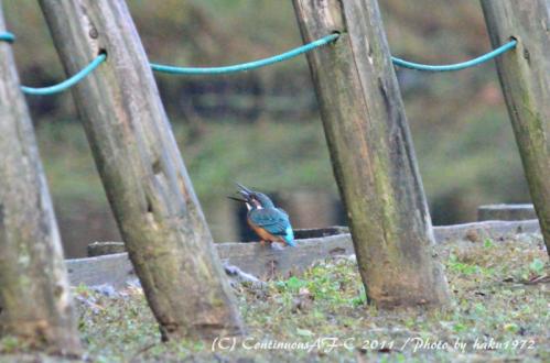 DSC_6105_0358.jpg