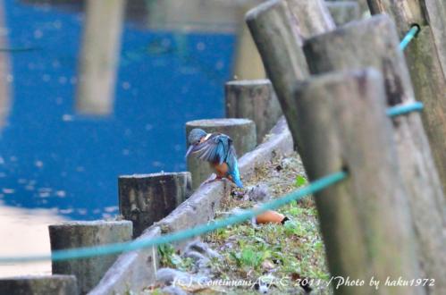 DSC_6122_0353.jpg