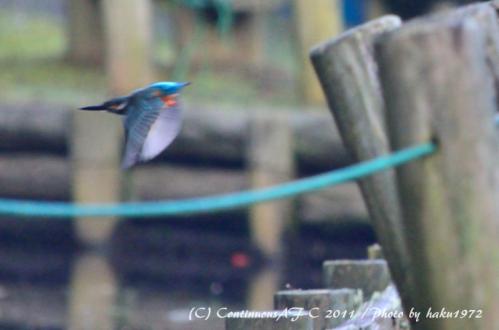DSC_6144_0355.jpg