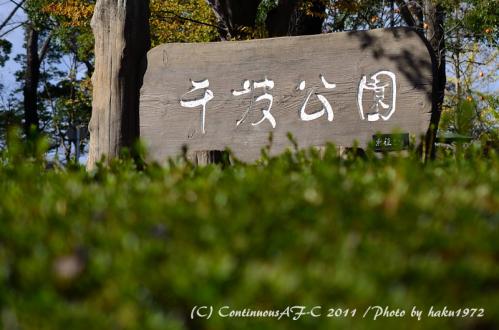 DSC_6318_0363.jpg