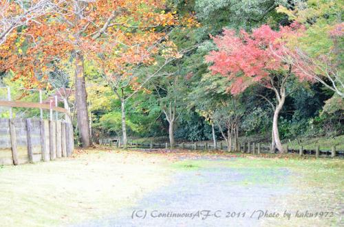DSC_6359_0366.jpg
