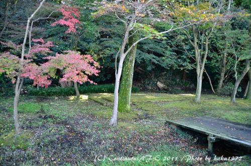 DSC_6439_0370.jpg