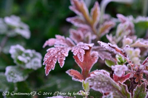 DSC_6655_0388.jpg
