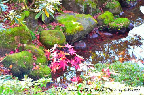 DSC_6892_0403.jpg