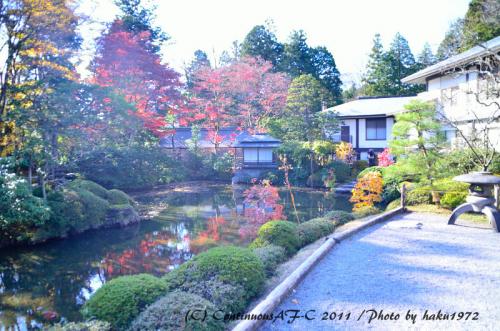 DSC_6903_0404.jpg