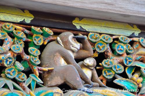 DSC_6964_0409.jpg