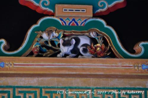 DSC_7036_0419.jpg