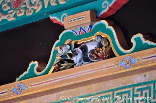 DSC_7046_0418.jpg