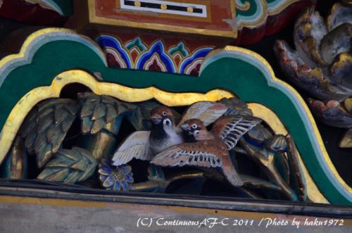 DSC_7057_0421.jpg